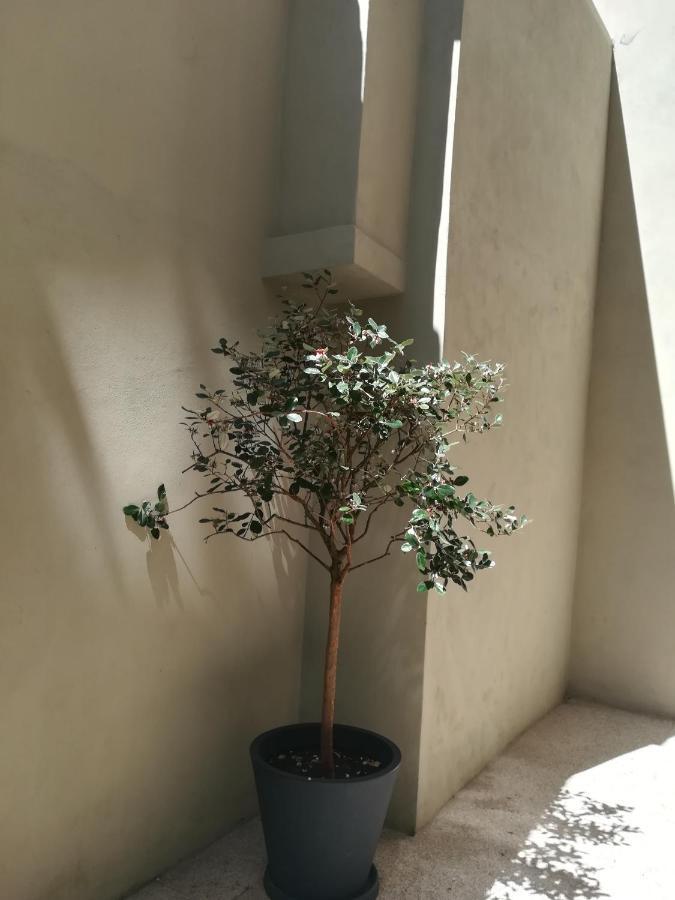 AmaOporto - Sé Appartamento Esterno foto